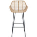 Scaun Bar 2 pcs 55 x 52 x 92 cm Ratan și Fier - WALTI WALTI