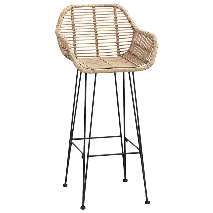 Scaun Bar 2 pcs 55 x 52 x 105 cm Ratan și Fier - WALTI WALTI
