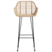 Scaun Bar 2 pcs 55 x 52 x 105 cm Ratan și Fier - WALTI WALTI