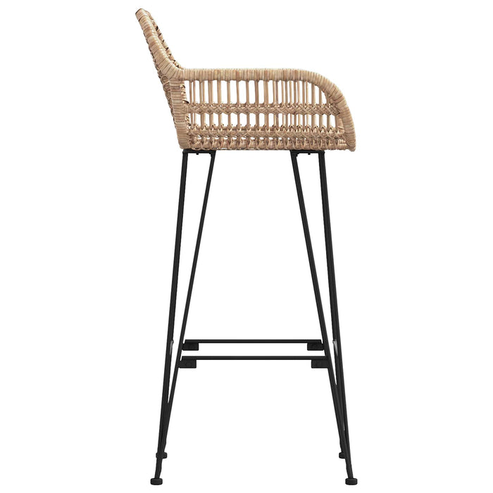 Scaun Bar 2 pcs 55 x 52 x 105 cm Ratan și Fier - WALTI WALTI