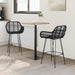 Scaun Bar 2 pcs 55 x 52 x 92 cm Ratan și Fier - WALTI WALTI