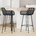 Scaun Bar 2 pcs 55 x 52 x 105 cm Ratan și Fier - WALTI WALTI
