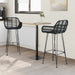 Scaun Bar 2 pcs 55 x 52 x 105 cm Ratan și Fier - WALTI WALTI