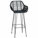 Scaun Bar 2 pcs 55 x 52 x 105 cm Ratan și Fier - WALTI WALTI