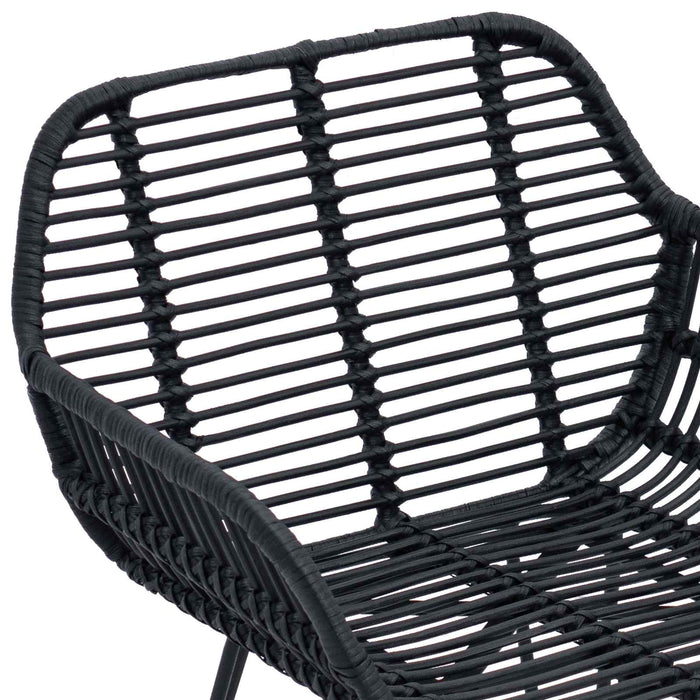 Scaun de sufragerie 2 pcs Negru 55 x 50 x 74 cm Ratan și Fier - WALTI WALTI