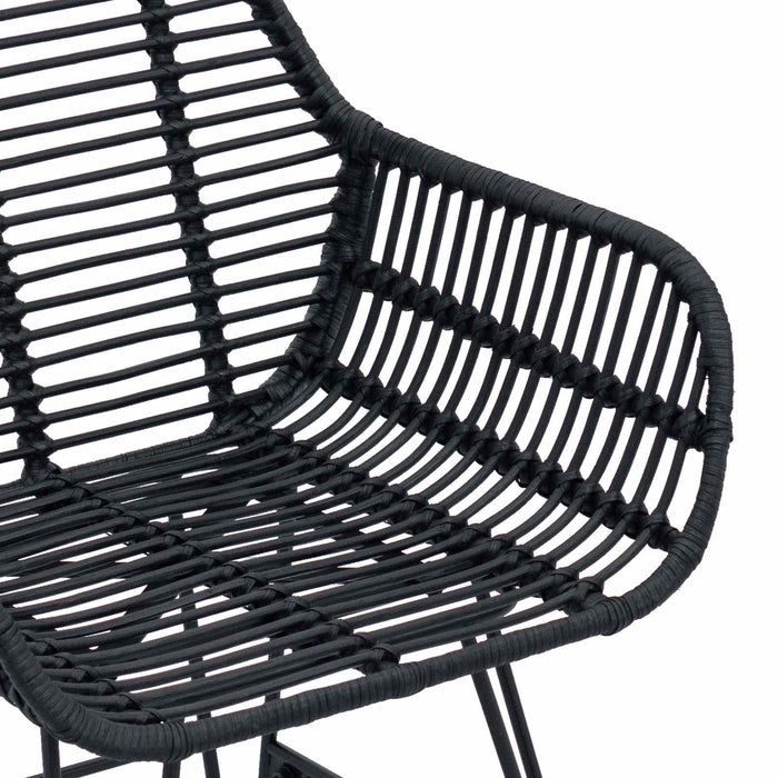 Scaun de sufragerie 2 pcs Negru 55 x 50 x 74 cm Ratan și Fier - WALTI WALTI