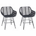 Scaun de sufragerie 2 pcs Negru 55 x 50 x 74 cm Ratan și Fier - WALTI WALTI