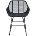 Scaun de sufragerie 2 pcs Negru 55 x 50 x 74 cm Ratan și Fier - WALTI WALTI