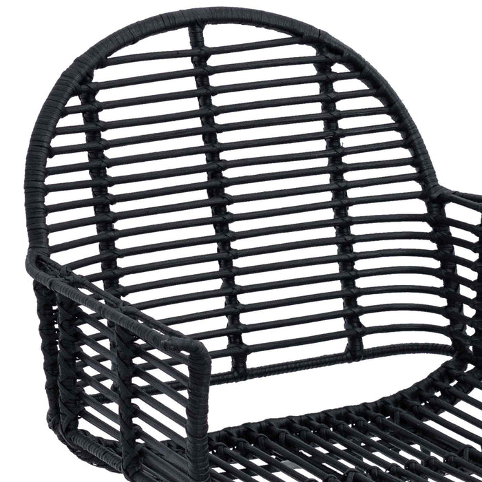 Scaun de sufragerie 2 pcs Ratan și Fier Negru 57 x 55 x 85 cm - WALTI WALTI