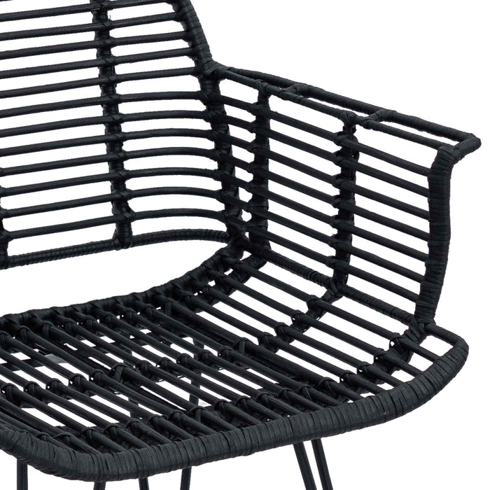Scaun de sufragerie 2 pcs Ratan și Fier Negru 57 x 55 x 85 cm - WALTI WALTI