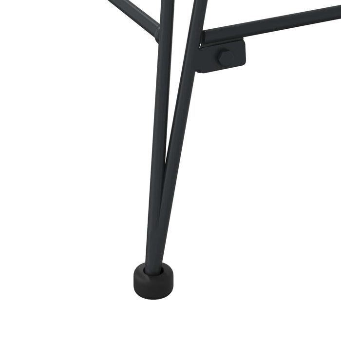 Scaun de sufragerie 2 pcs Ratan și Fier Negru 57 x 55 x 85 cm - WALTI WALTI