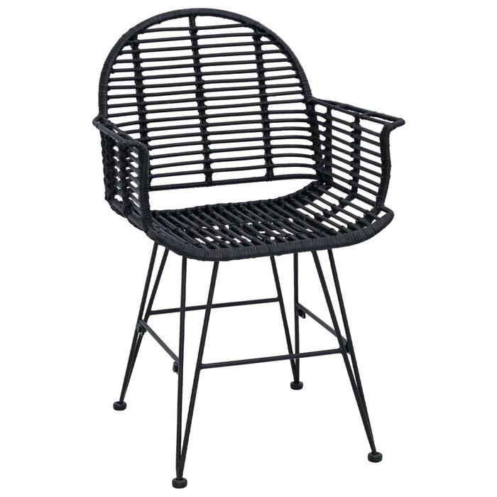 Scaun de sufragerie 2 pcs Ratan și Fier Negru 57 x 55 x 85 cm - WALTI WALTI