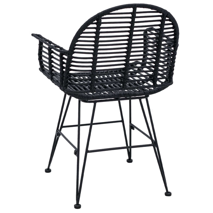 Scaun de sufragerie 2 pcs Ratan și Fier Negru 57 x 55 x 85 cm - WALTI WALTI