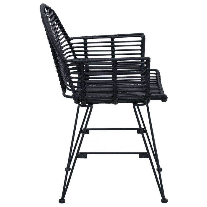 Scaun de sufragerie 2 pcs Ratan și Fier Negru 57 x 55 x 85 cm - WALTI WALTI