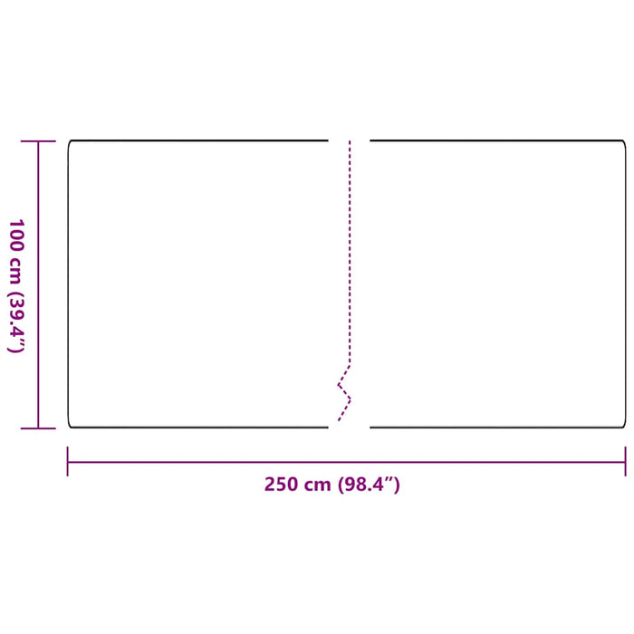 Runner din covor Gri închis 100 x 250 cm 100% polipropilenă - WALTI WALTI