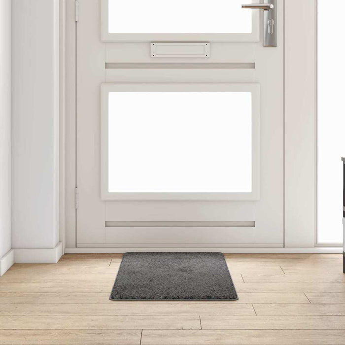 Runner din covor Gri 50 x 100 cm 100% Polipropilenă Tuft - WALTI WALTI