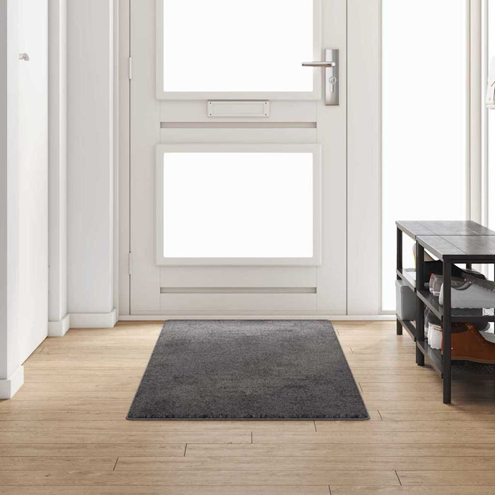 Runner din covor Gri 80 x 250 cm 100% Polipropilenă Tuft - WALTI WALTI