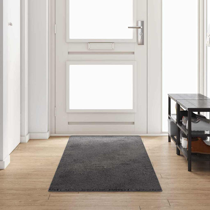 Runner din covor Gri 80 x 300 cm 100% Polipropilenă Tuft - WALTI WALTI