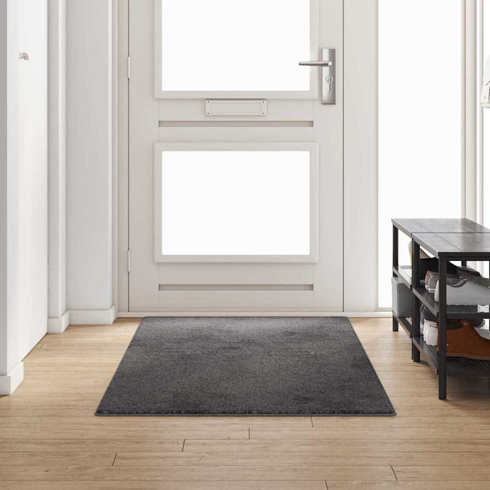 Runner din covor Gri 100 x 250 cm 100% Polipropilenă Tuft - WALTI WALTI