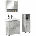 Set de mobilier pentru baie 3 pcs Gri beton 61 x 35 x 64 cm - WALTI WALTI