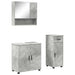 Set de mobilier pentru baie cu sertar 3 pcs Gri din beton - WALTI WALTI