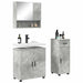 Set de mobilier pentru baie cu sertar 3 pcs Gri din beton - WALTI WALTI