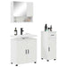 Set de mobilier pentru baie cu sertar cu ușă 3 pcs Alb lucios - WALTI WALTI