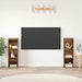 Set comodă TV 2 pcs Lemn vechi 107 x 35 x 37 cm Lemn compozit - WALTI WALTI