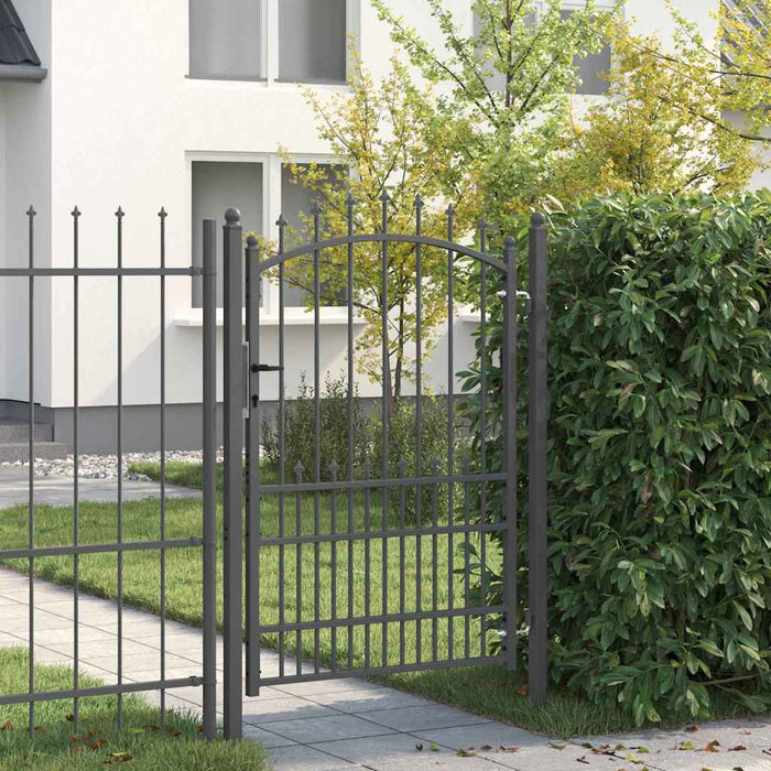 Poartă de gard cu țepi Gri 170 x 100 cm Oțel vopsit în pulbere - WALTI WALTI