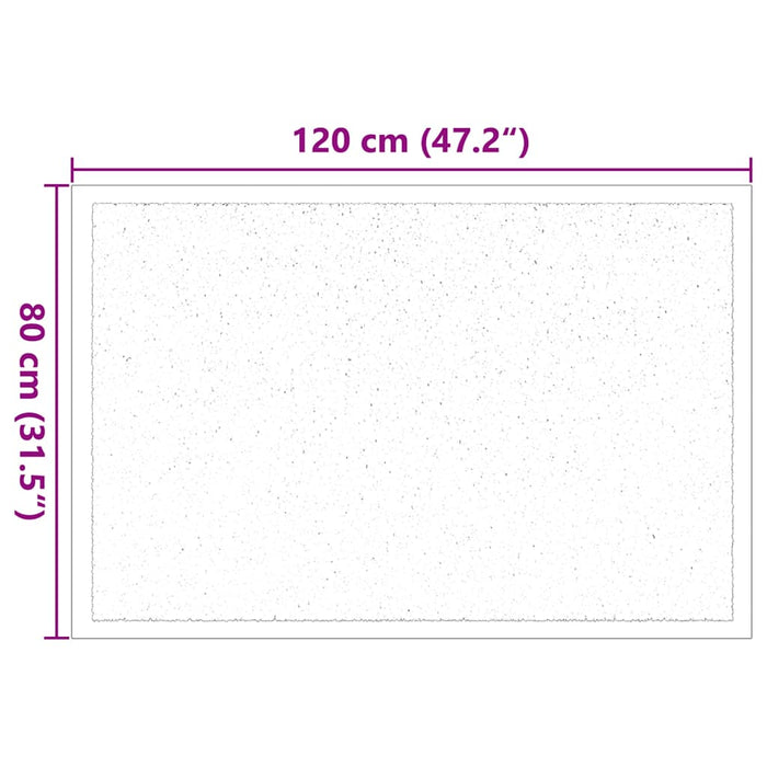 Covoraș de intrare Gri deschis 80 x 120 cm Țesătură Teddy - WALTI WALTI