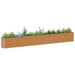 Strat înălțat de grădină 582 x 50 x 68 cm Oțel Galvanizat - WALTI WALTI