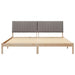 Cadru de pat cu headboard Maro 200 x 200 cm Lemn de pin masiv - WALTI WALTI