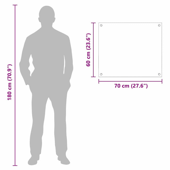 Spate de bucătărie Transparent 70 x 60 cm sticlă securizată - WALTI WALTI