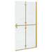 Perete de duș Walk-In Auriu 100 x 6,5 x 190 cm - WALTI WALTI