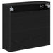 Raft de perete cu raft Pe perete Stejar Negru 65 x 20 x 60 cm - WALTI WALTI