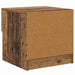 Dulap de pat 2 pcs Lemn vechi 40 x 39 x 40cm Lemn compozit - WALTI WALTI