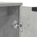 Dulap de Baie Gri din beton 64,5 x 33,5 x 59 cm Lemn compozit - WALTI WALTI