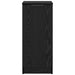 Bufet Stejar Negru 30 x 30 x 70 cm Lemn compozit - WALTI WALTI