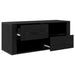 Cabinet TV Stejar Negru 100 x 35 x 40 cm Lemn compozit - WALTI WALTI