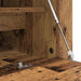 Dulap pentru pantofi Lemn vechi 100 x 35 x 38 cm Lemn compozit - WALTI WALTI