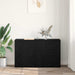 Bufet cu sertar Stejar Negru 100 x 33 x 59.5 cm Lemn compozit - WALTI WALTI