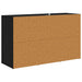 Bufet cu sertar Stejar Negru 100 x 33 x 59.5 cm Lemn compozit - WALTI WALTI