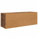 Cabinet TV Lemn Vechi 100 x 31,5 x 35 cm Lemn compozit - WALTI WALTI