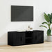 Cabinet TV Stejar Negru 100 x 31,5 x 35 cm Lemn compozit - WALTI WALTI