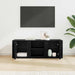 Cabinet TV Stejar Negru 100 x 31,5 x 35 cm Lemn compozit - WALTI WALTI