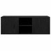 Cabinet TV Stejar Negru 100 x 31,5 x 35 cm Lemn compozit - WALTI WALTI