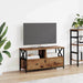 Cabinet TV Lemn Vechi 90 x 33 x 45 cm Lemn ingineresc și oțel - WALTI WALTI