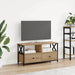 Cabinet TV cu sertar Stejar Artizanal 90 x 33 x 45 cm - WALTI WALTI