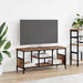 Cabinet TV Lemn Vechi 100 x 35 x 45 cm Lemn Ingineresc și Fier - WALTI WALTI