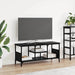 Cabinet TV Stejar Negru 100 x 35 x 45 cm - WALTI WALTI